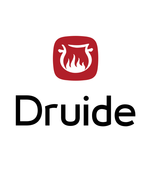 Druide informatique