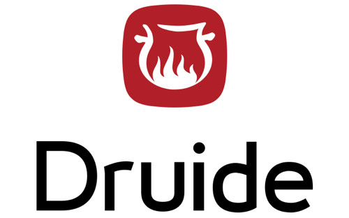 Druide informatique